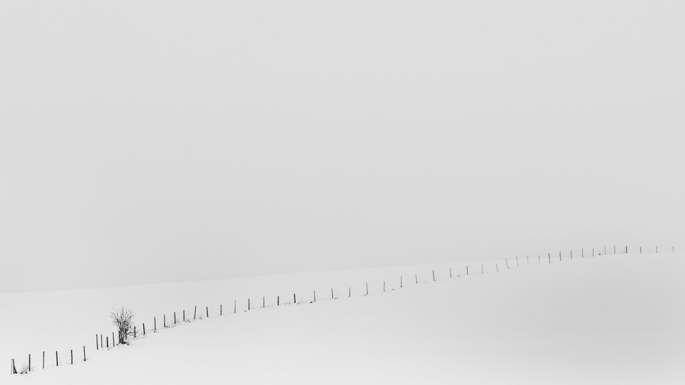 Platz 11 Anton Kienle